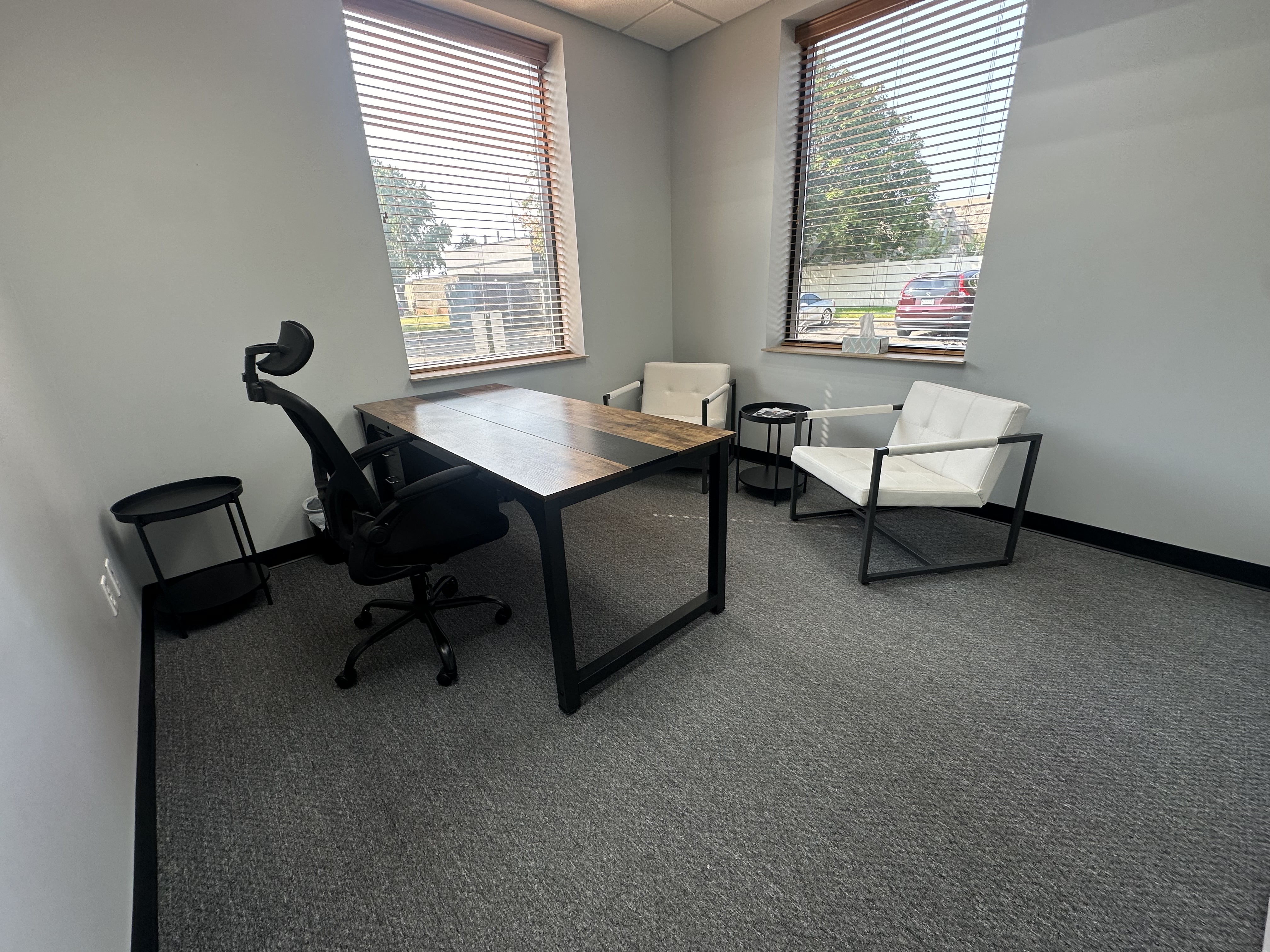 Private office with natural light
